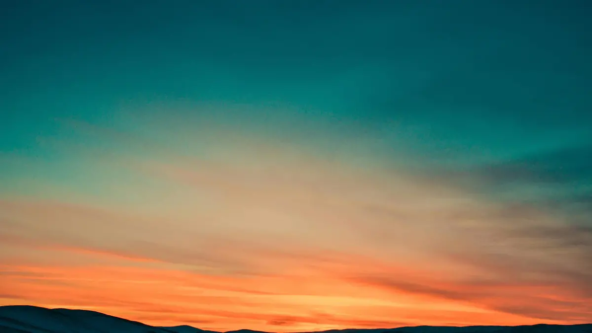 pexels-no-name-14543-66997