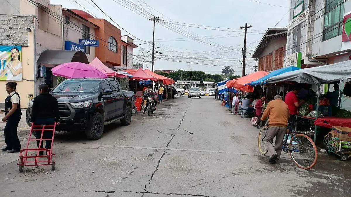 WEB CALLE TLAXCOAPAN BUENAA