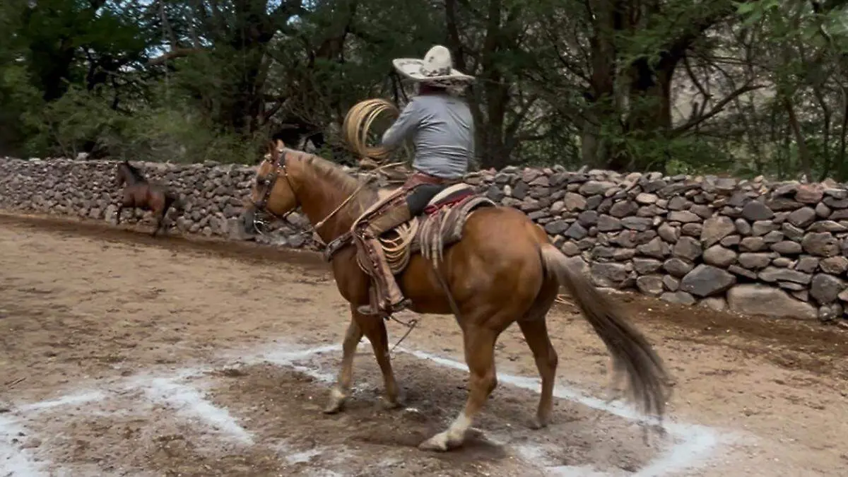 CarneCaballo