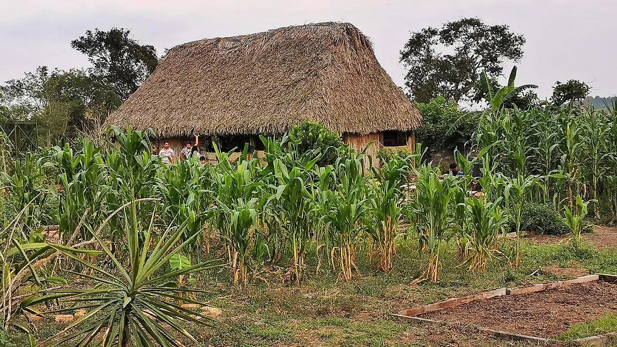 20251111_154532_0000