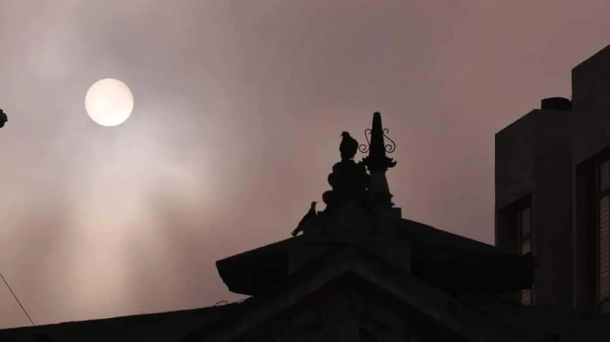 WhatsApp Image 2025-11-05 at 7.44.09 AM (1)