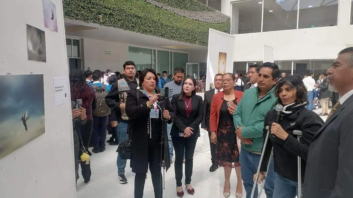 WEB FUNDACIÓN BUENAA