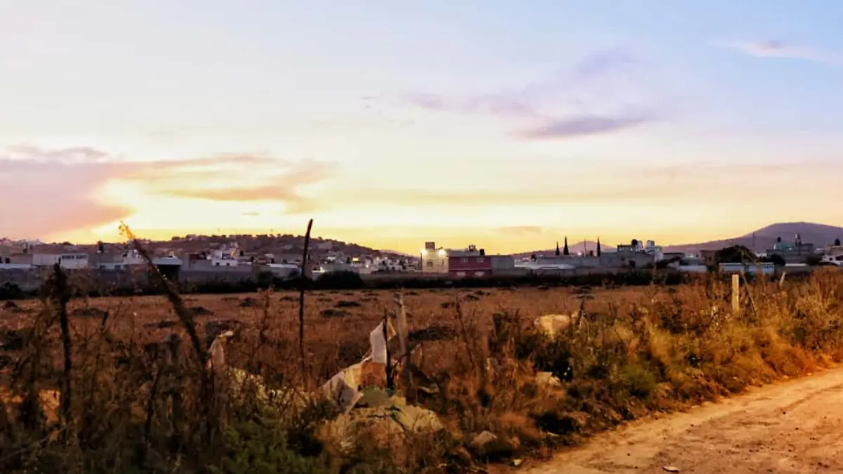 Plantilla imagenes web (8)