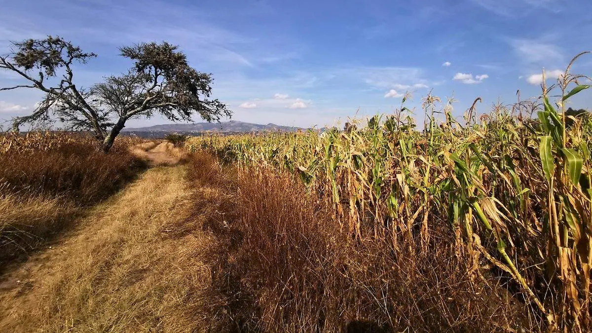 20251130_153659_0000