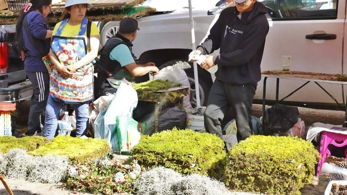 20251210_150904_0000