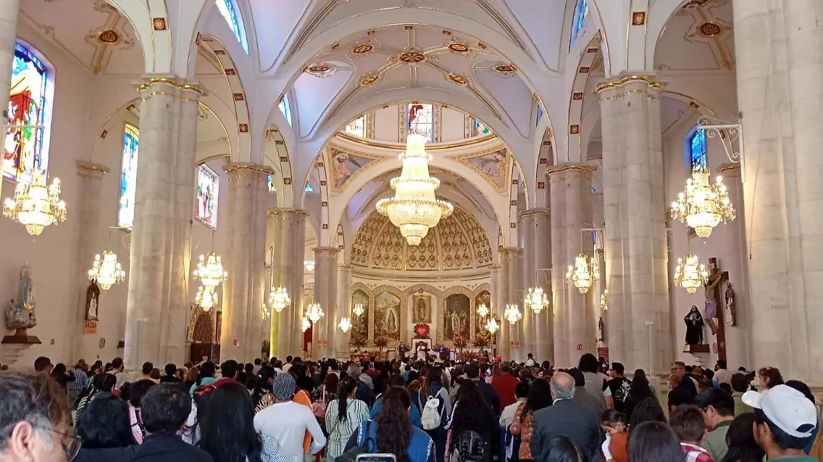 WhatsApp Image 2025-12-12 at 3.07.22 PM