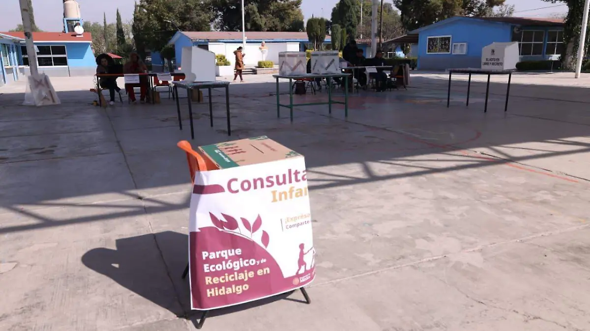 Consulta ciudadana infantil