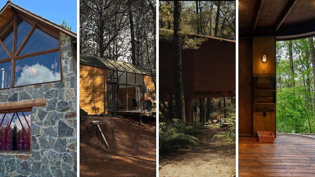 cabañas hidalgo fiestas decembrinas bosque hidalgo