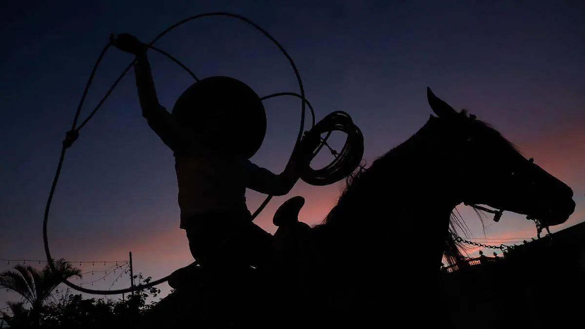 Diseño sin título