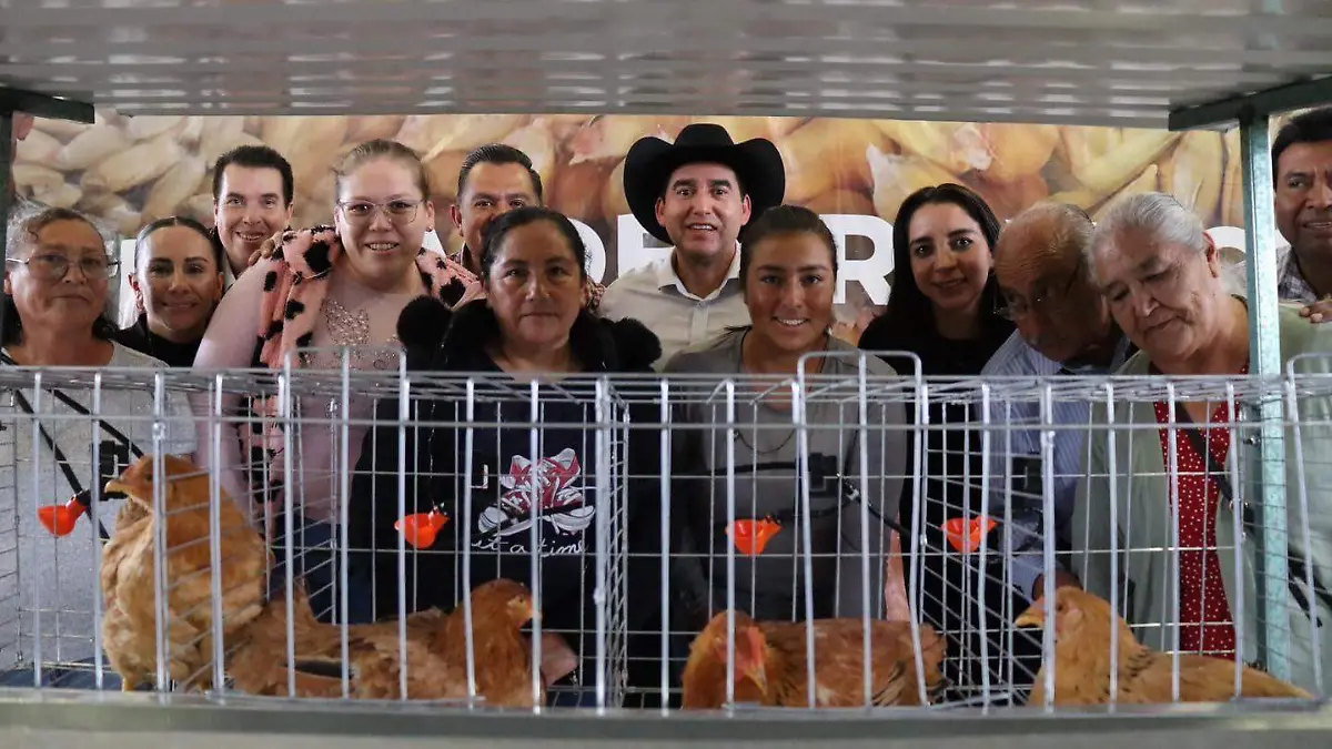 WhatsApp Image 2025-12-24 at 3.37.32 PM