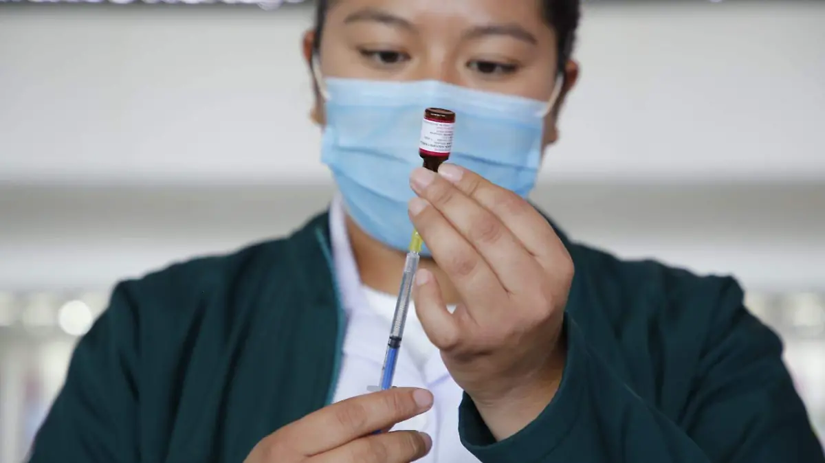 WhatsApp Image 2025-12-24 at 2.46.01 PM