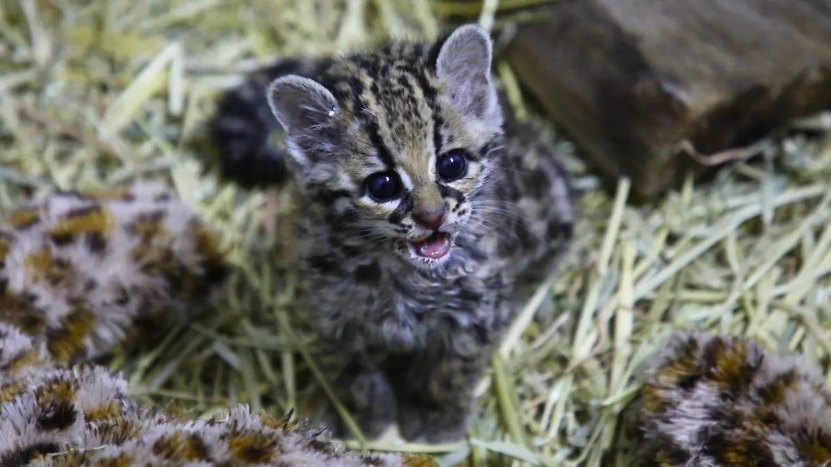 20251226_131143_0000