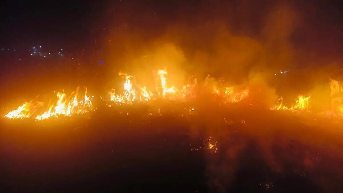 WhatsApp Image 2026-01-02 at 2.09.43 PM