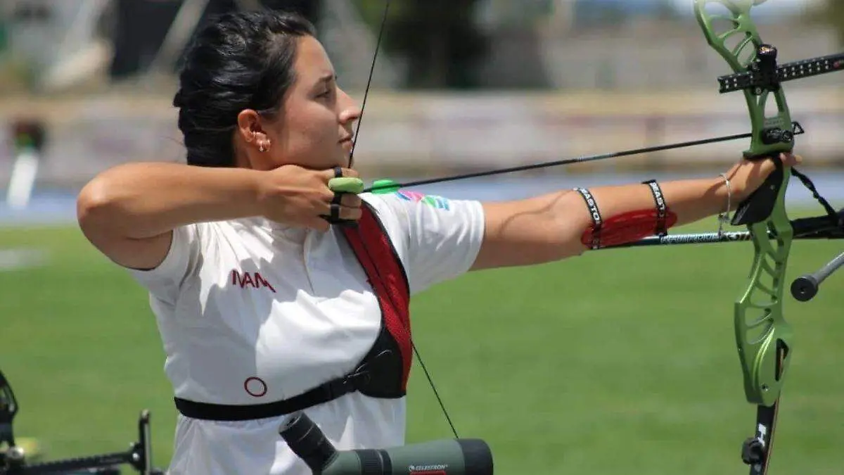 Diseño sin título