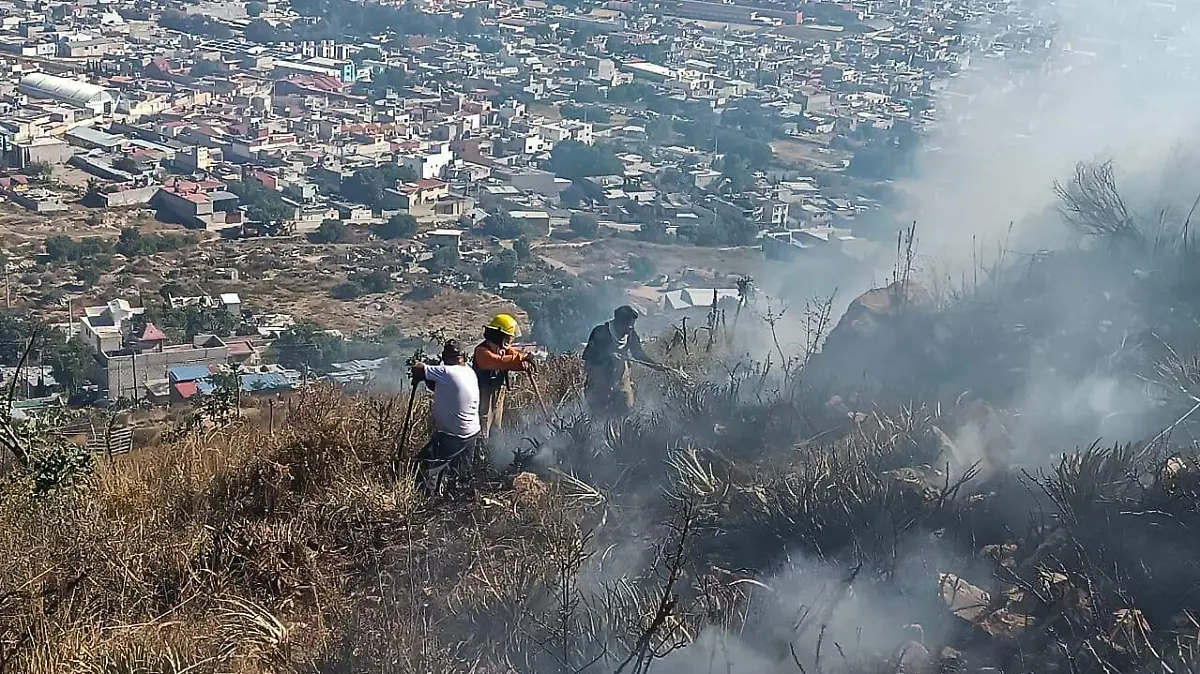 WhatsApp Image 2026-01-04 at 4.48.17 PM