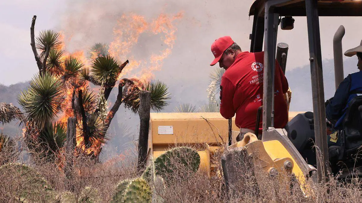 Diseño sin título-2