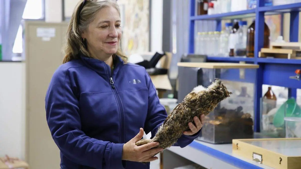 20260106_154013_0000