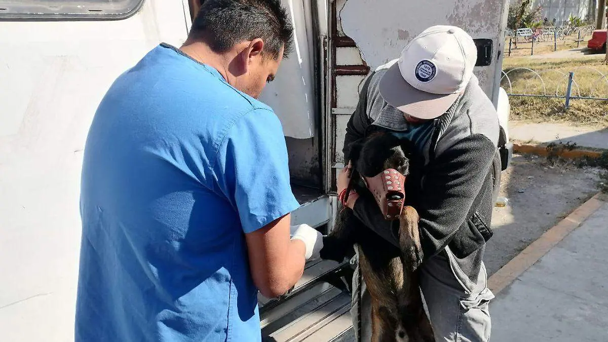 WEB ESTERILIZACIÓN BUENAA