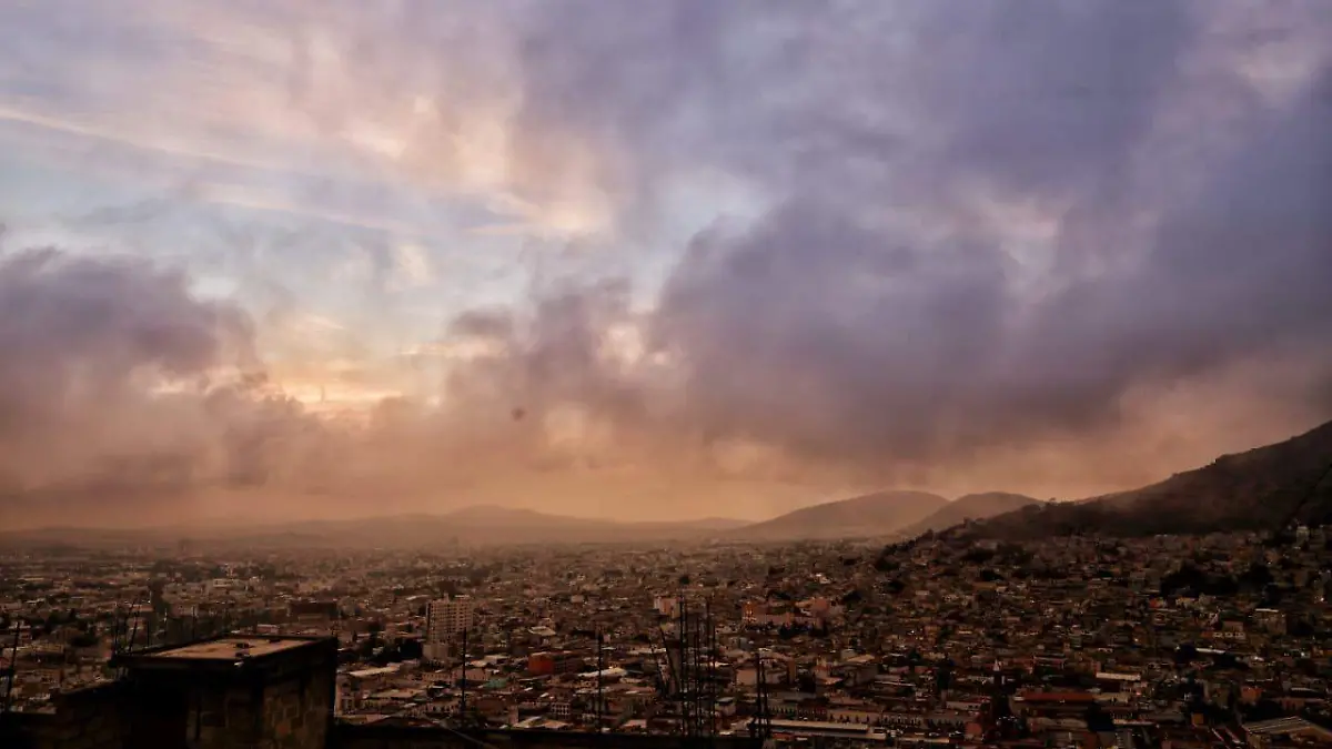 WhatsApp Image 2026-01-13 at 10.41.37 AM