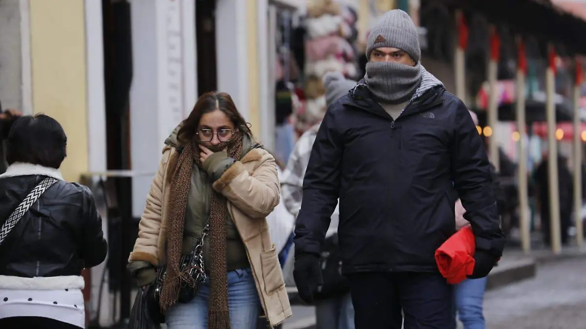 WhatsApp Image 2026-01-11 at 12.32.38 PM