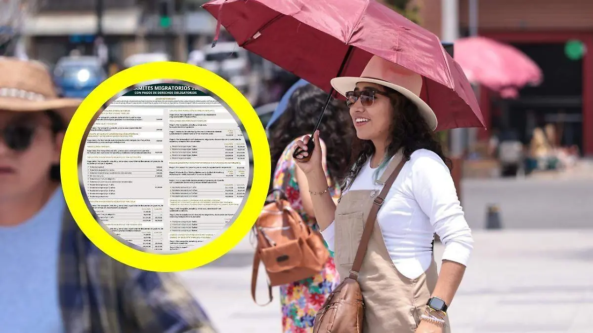 tarifas migratorias web