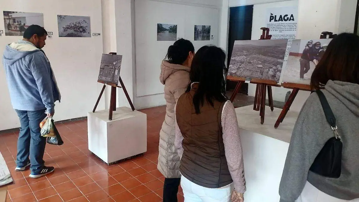 WEB EXPOSICIÓN BUENAA