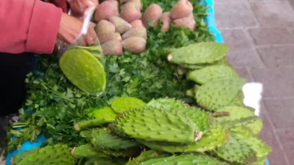 NOPAL
