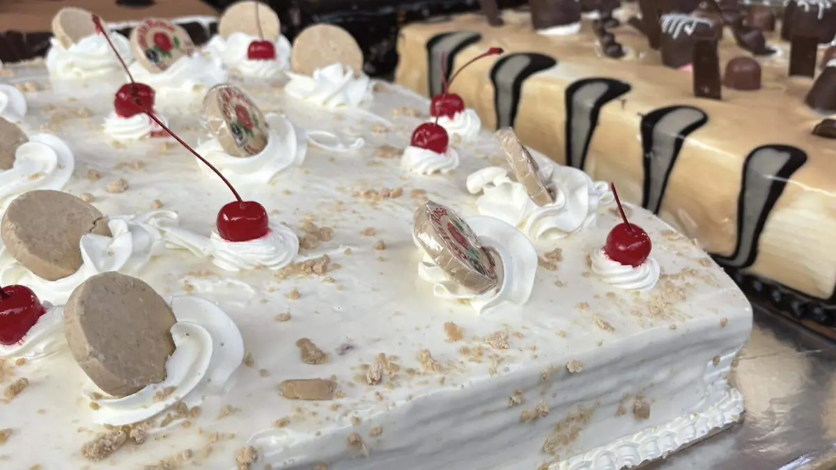 611774163_1218486620288793_5778412650735688048_n