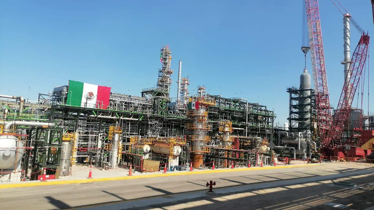 WhatsApp Image 2026-01-23 at 7.41.10 PM