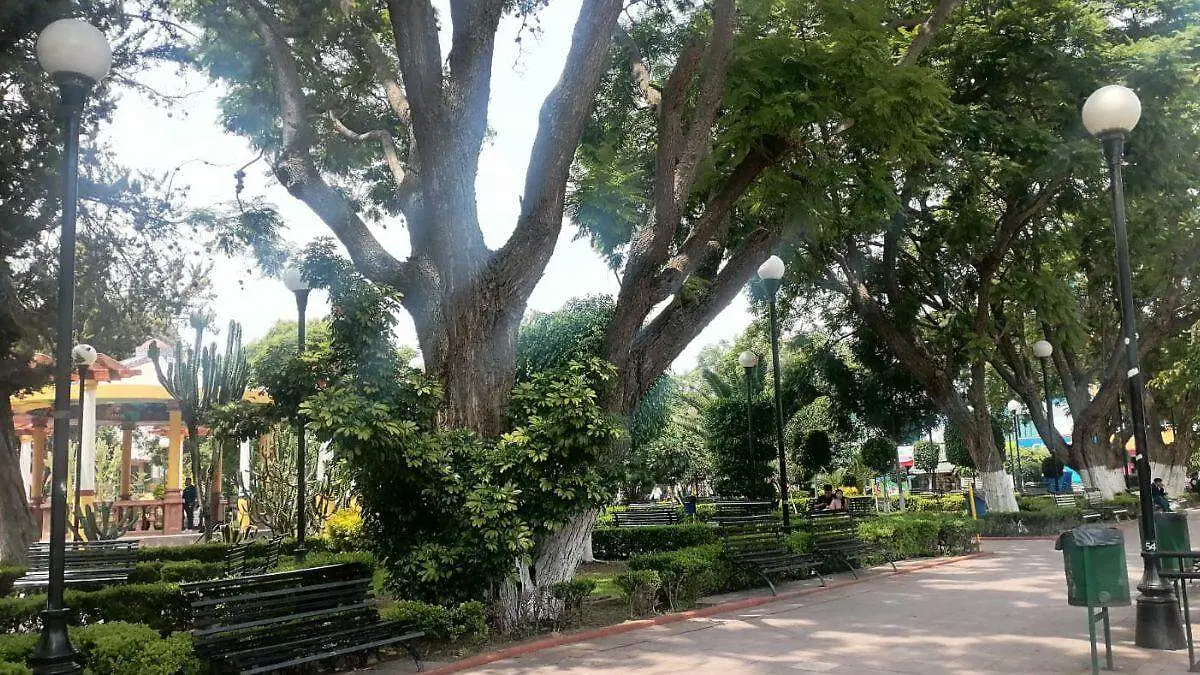 WEB FALTA DE LUZ BUENAA