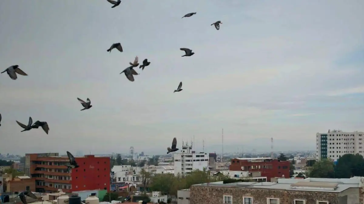 619251851_1689324679073438_2105939240128863491_n