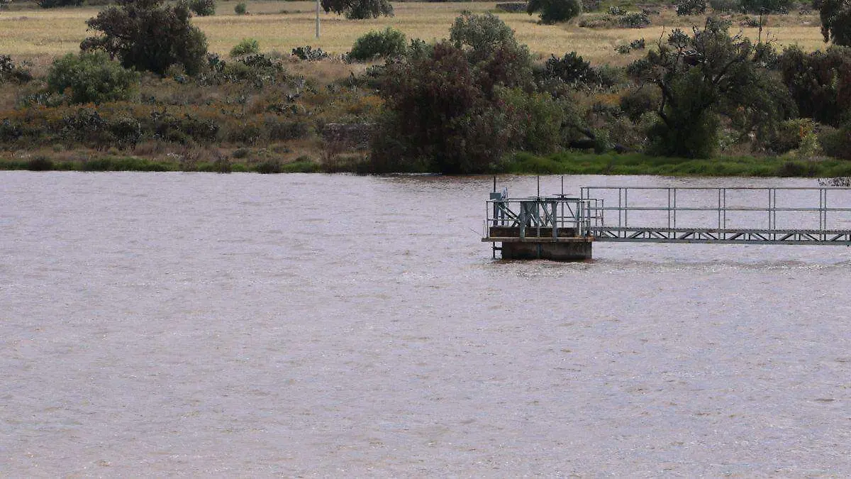 Diseño sin título-6