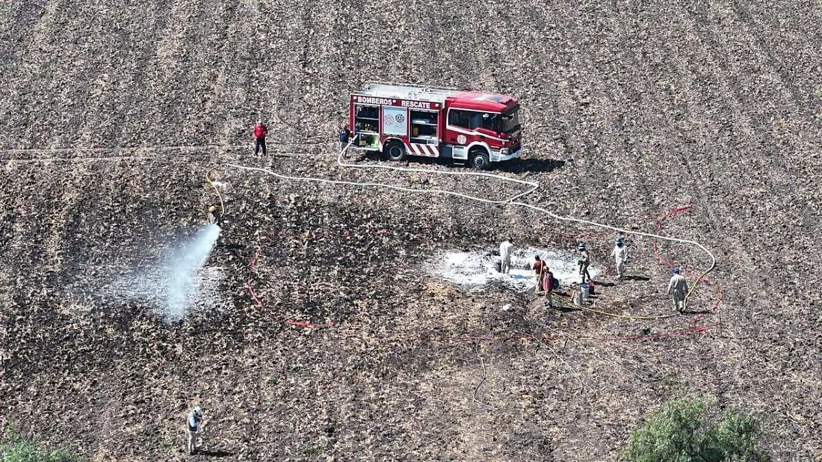 WhatsApp Image 2026-01-27 at 1.32.27 PM