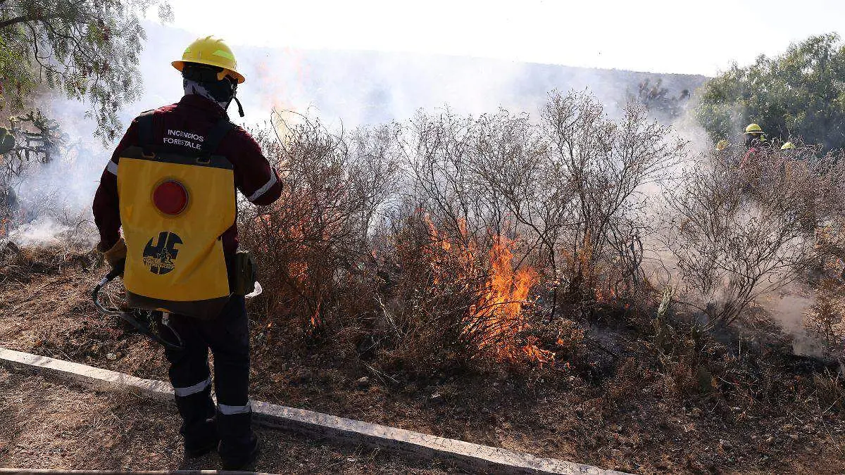 Diseño sin título-8