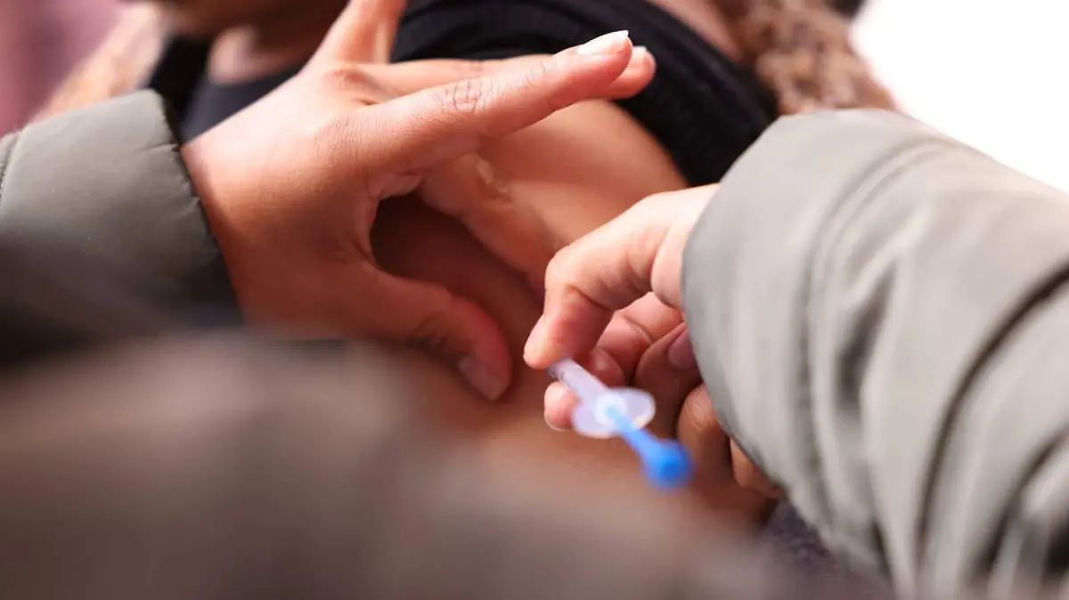 WhatsApp Image 2026-01-28 at 11.24.02 AM