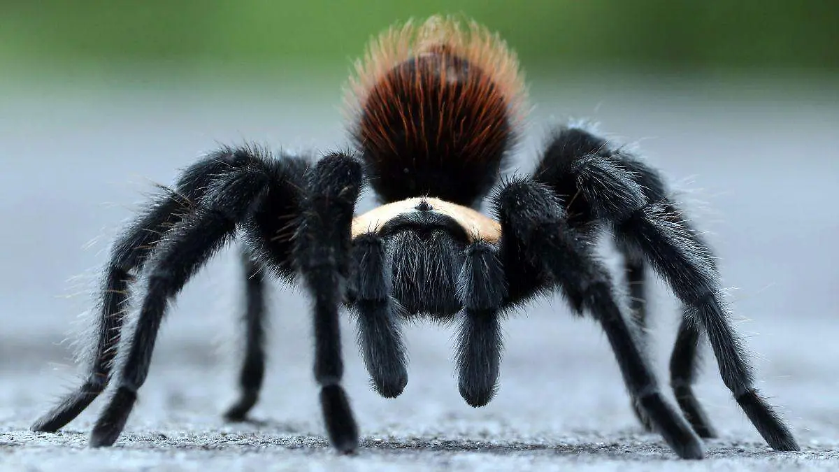 Diseño sin título-15