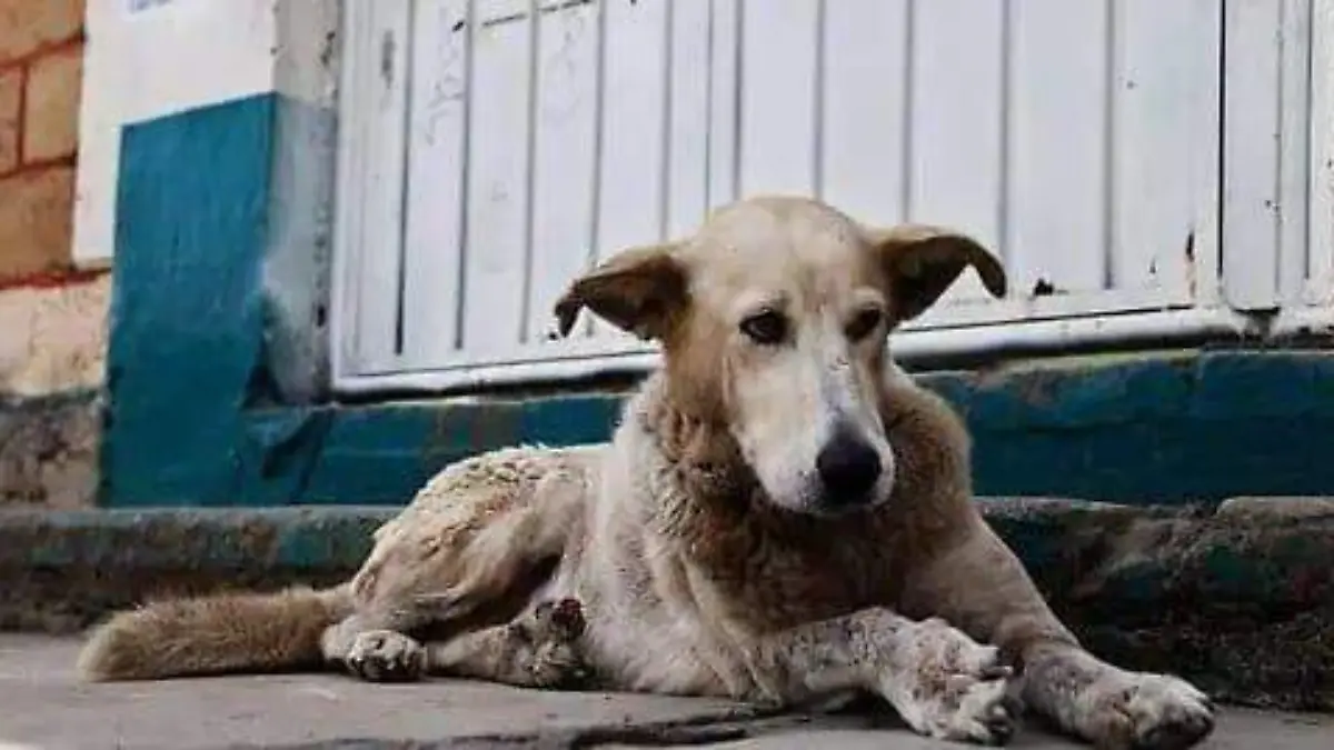 WhatsApp Image 2026-01-29 at 6.47.19 PM