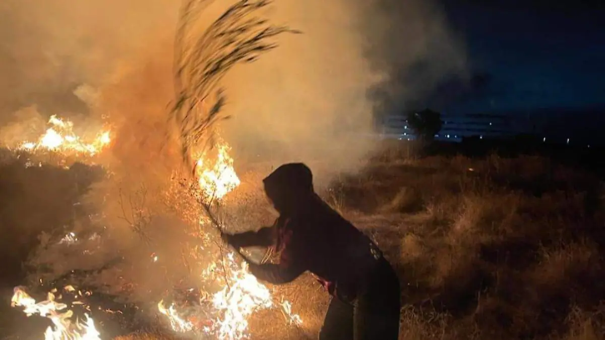 WhatsApp Image 2026-02-04 at 11.39.26 AM (1)