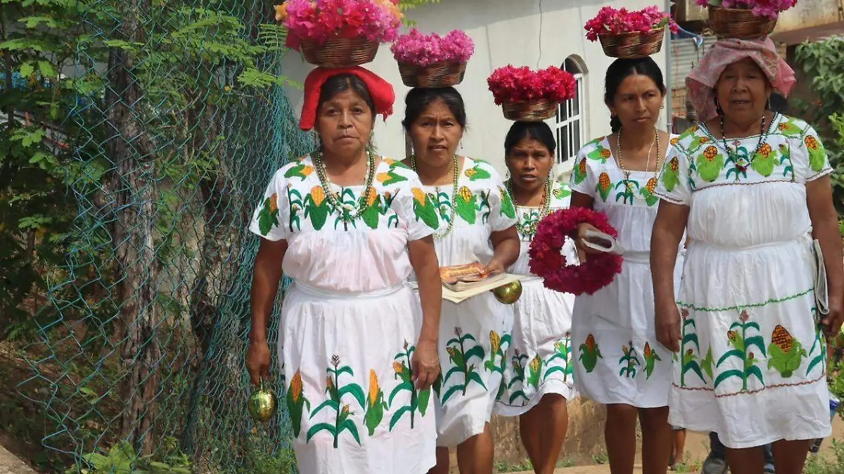 WhatsApp Image 2026-02-05 at 11.20.29 AM