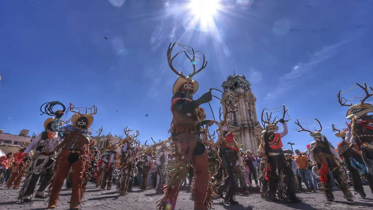 WhatsApp Image 2026-02-07 at 1.01.34 PM