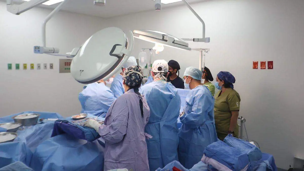 WhatsApp Image 2026-02-08 at 2.05.02 PM