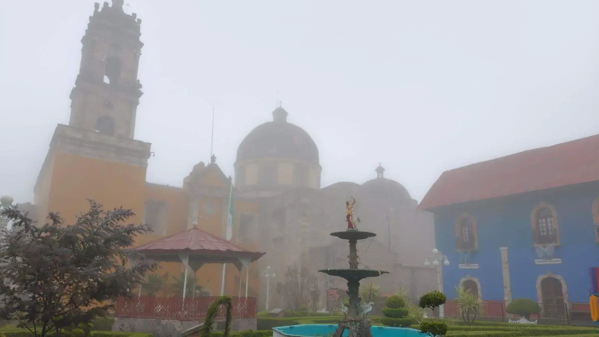 WhatsApp Image 2026-02-05 at 10.22.06 AM