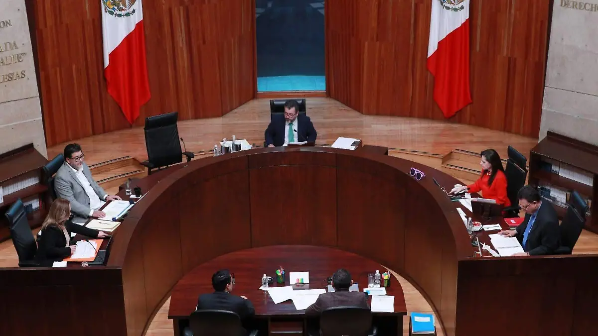 WhatsApp Image 2026-02-12 at 5.26.30 PM (1)