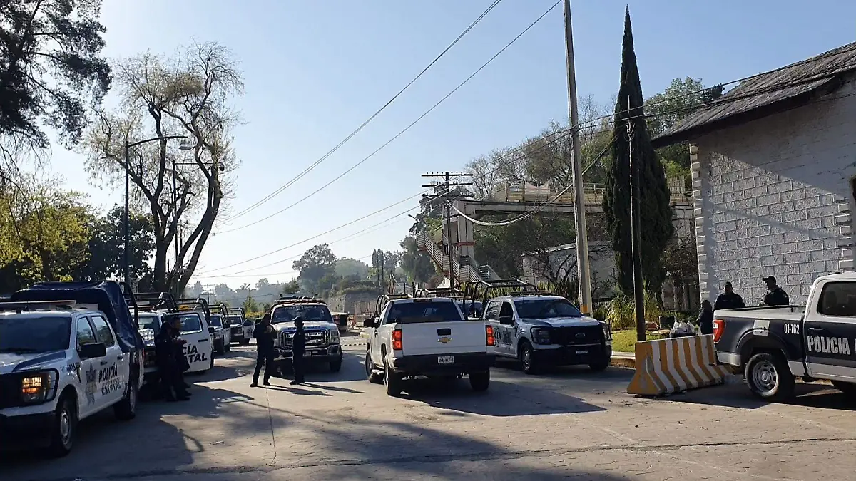 Screenshot_20260213-105327_Photos