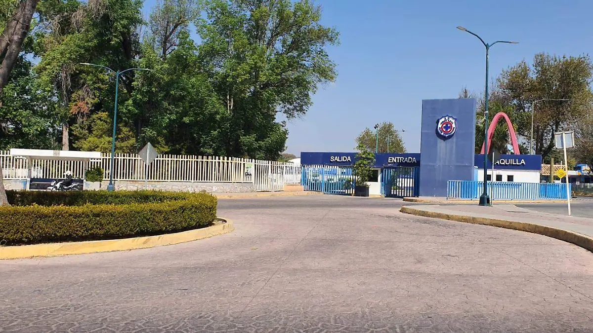 WhatsApp Image 2026-02-14 at 12.48.48 PM