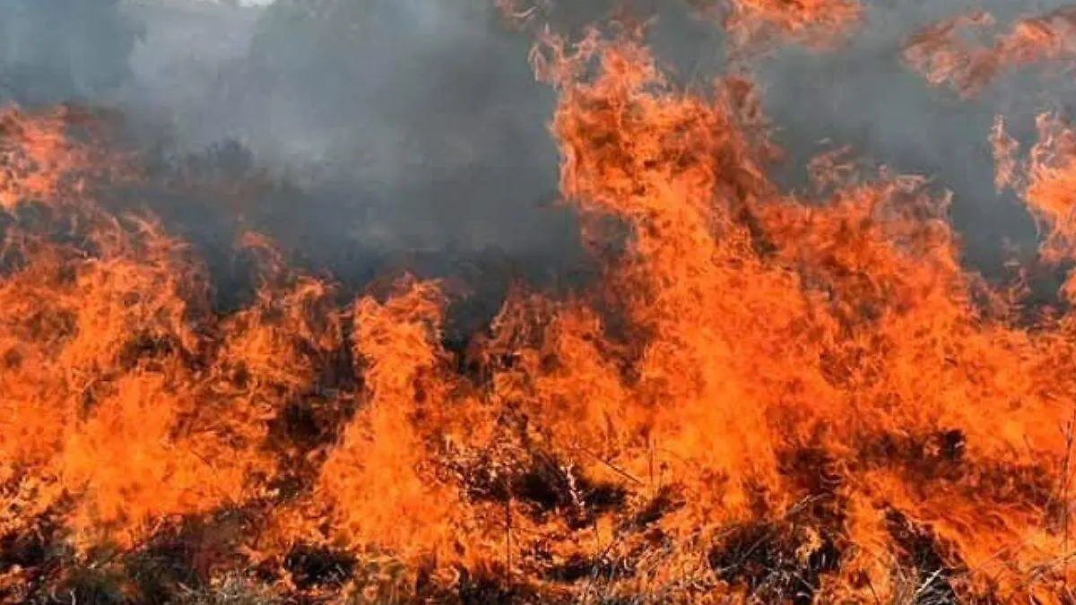 WEB INCENDIO BOMINTZHA BUENAA