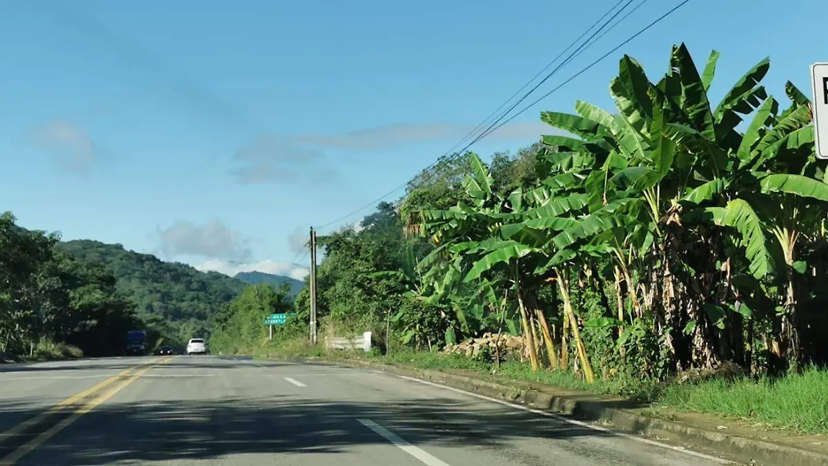 RETENIDO ATROPELLO 1