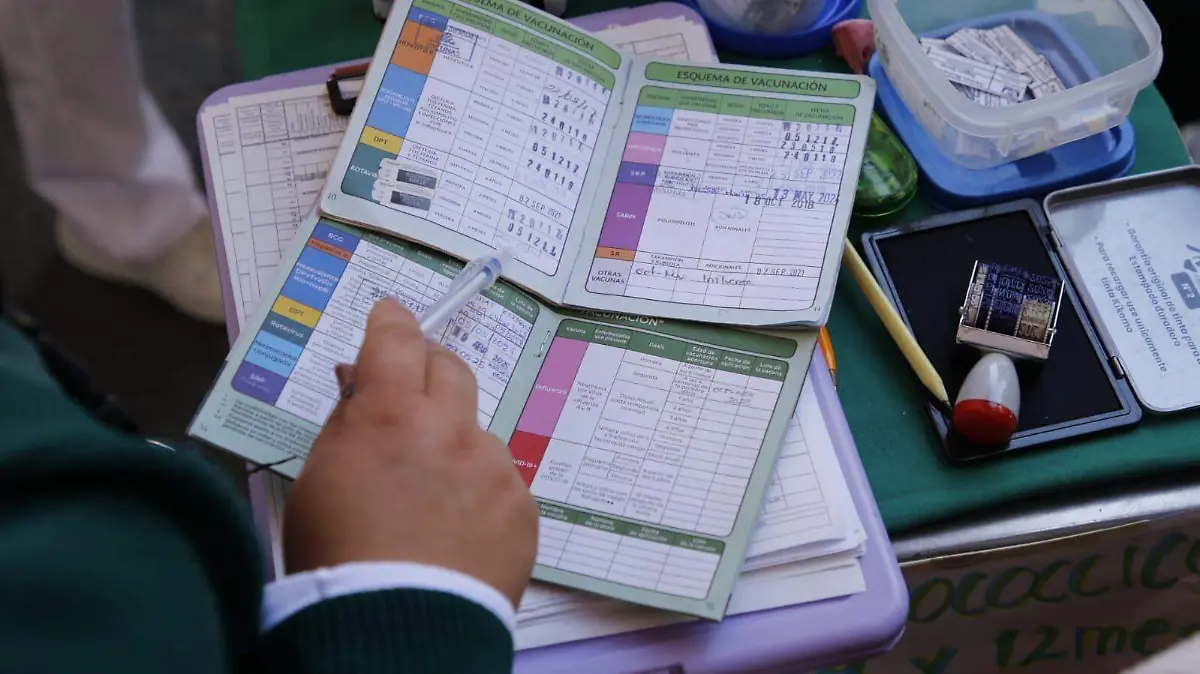 WhatsApp Image 2026-02-17 at 11.46.44 AM