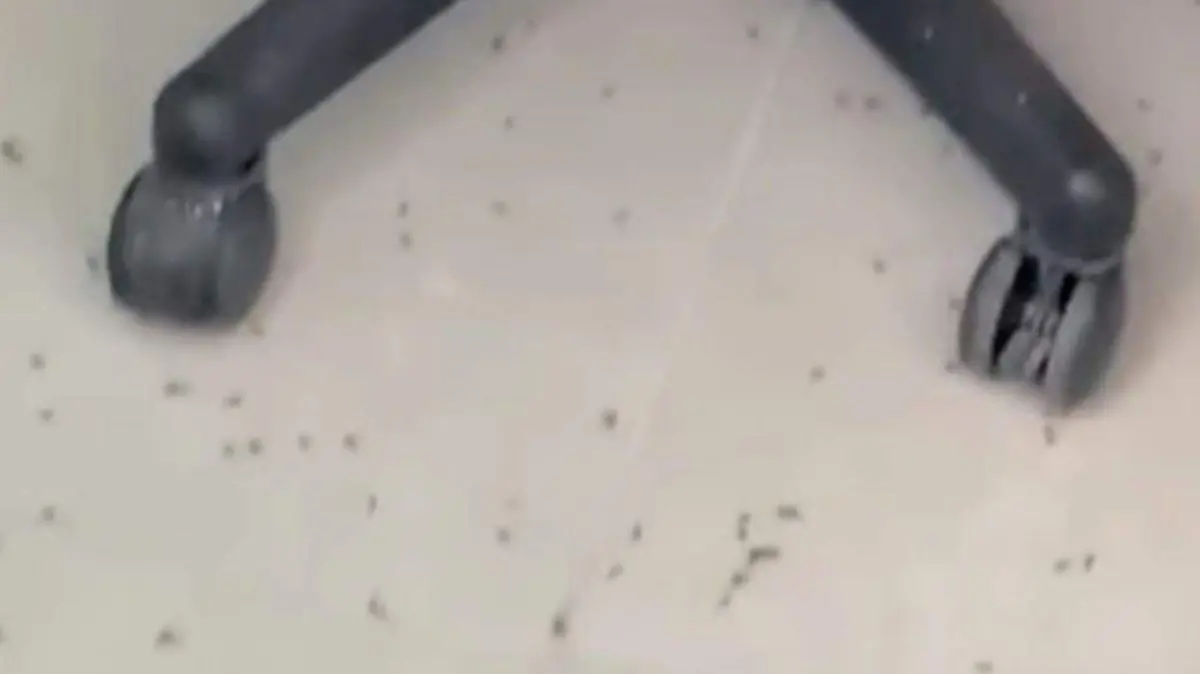 Screenshot_20260220-111509_Facebook