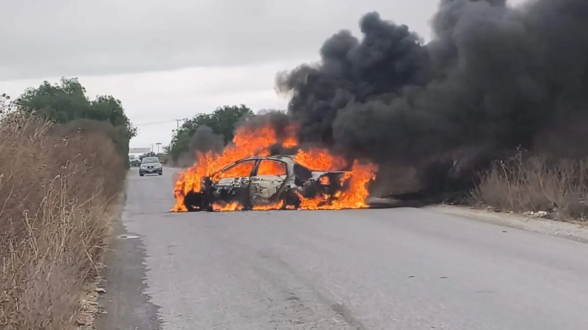 Image_20260222_120454_190